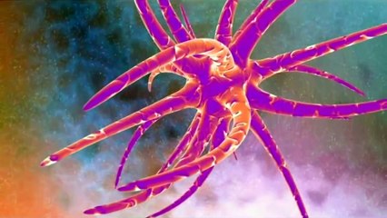 Павел Лукоянов - Воспоминания о Космосе Русов HD 7524-2016