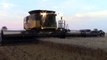 New Holland CR8090 Combines Harvesting Wheat at Sunset