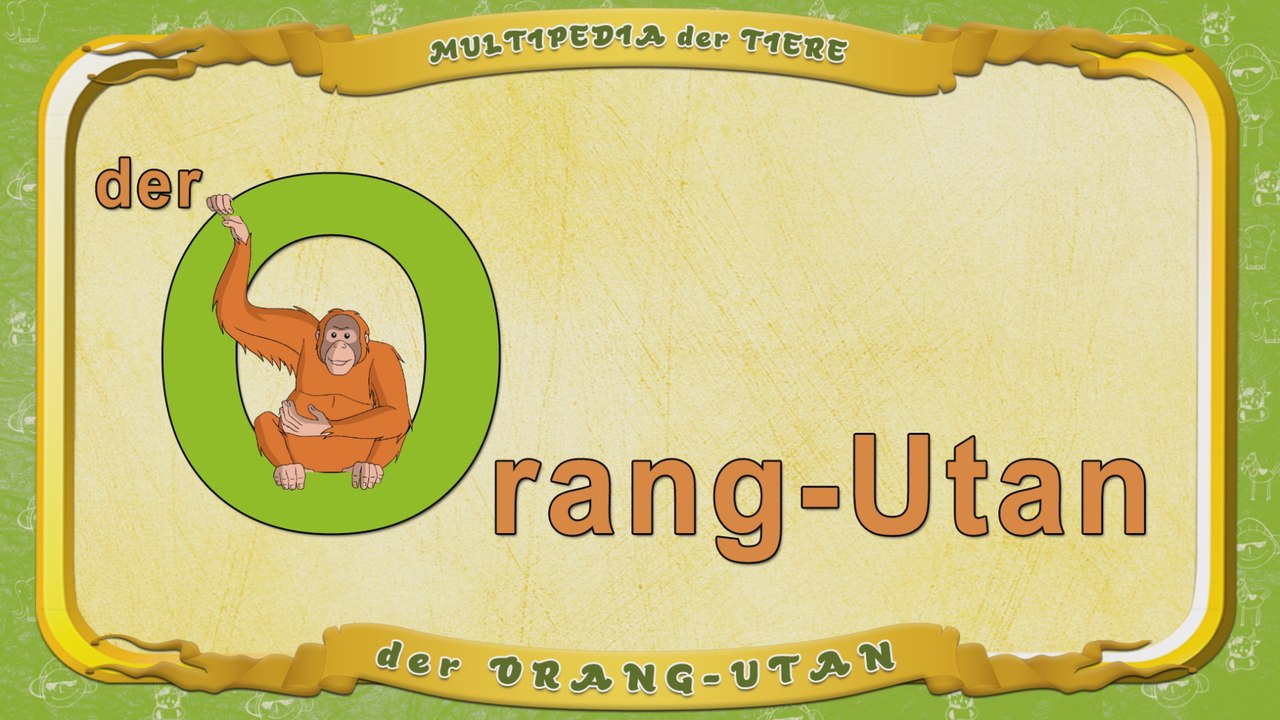 Multipedia der Tiere. Buchstabe O - der Orang-Utan