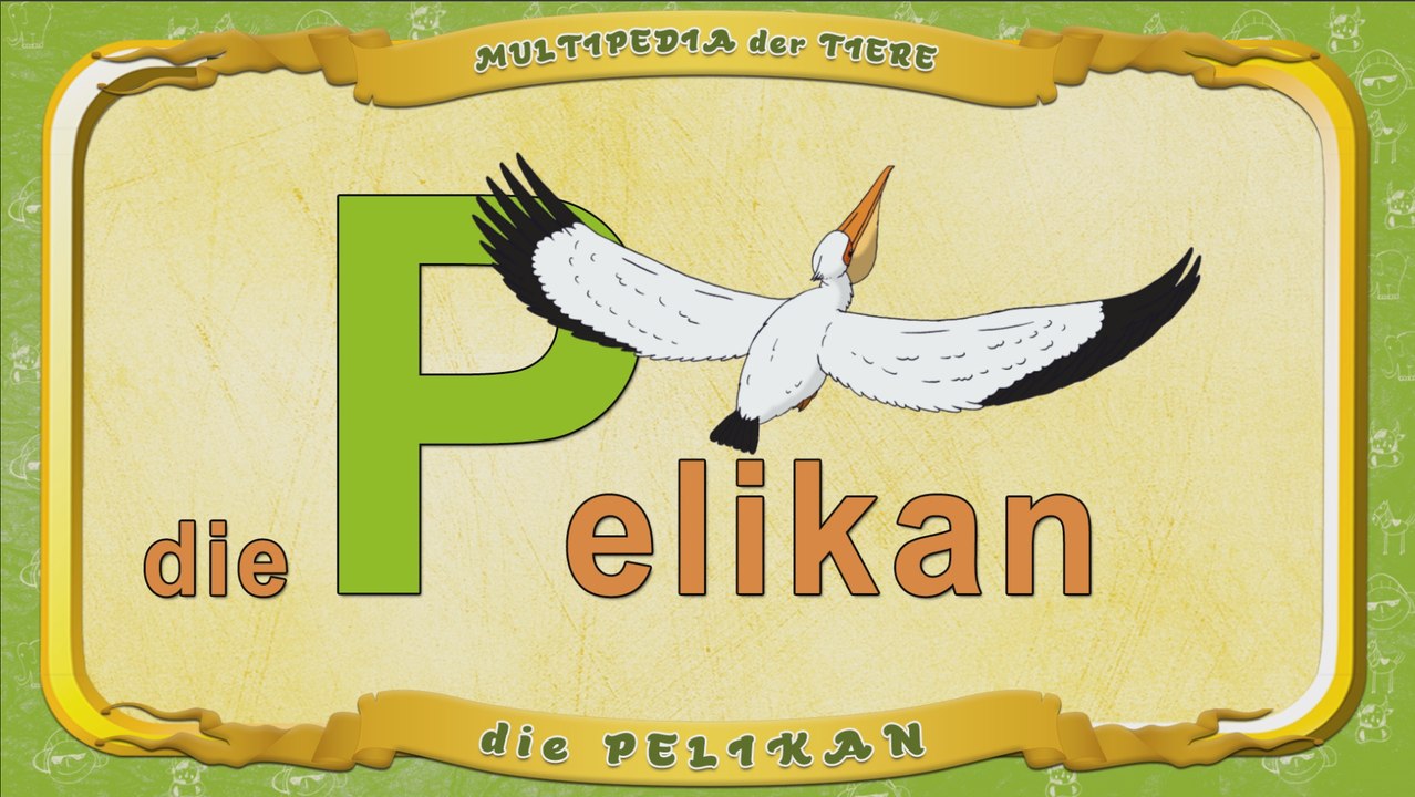 Multipedia der Tiere. Buchstabe P - die Pelikan