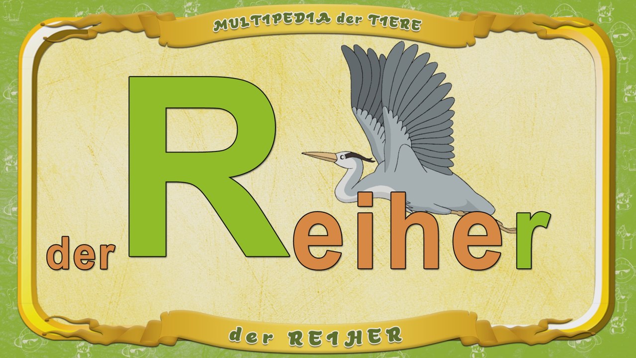 Multipedia der Tiere. Buchstabe R - der Reiher