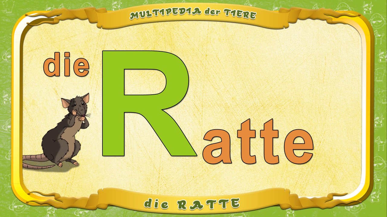 Multipedia der Tiere. Buchstabe R - die Ratte