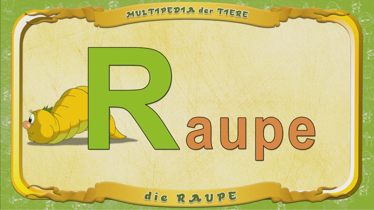 Multipedia der Tiere. Buchstabe R - die Raupe