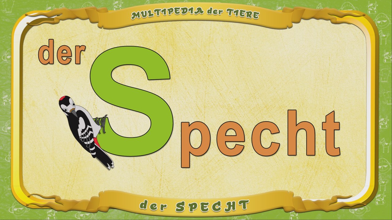 Multipedia der Tiere. Buchstabe S - der Specht