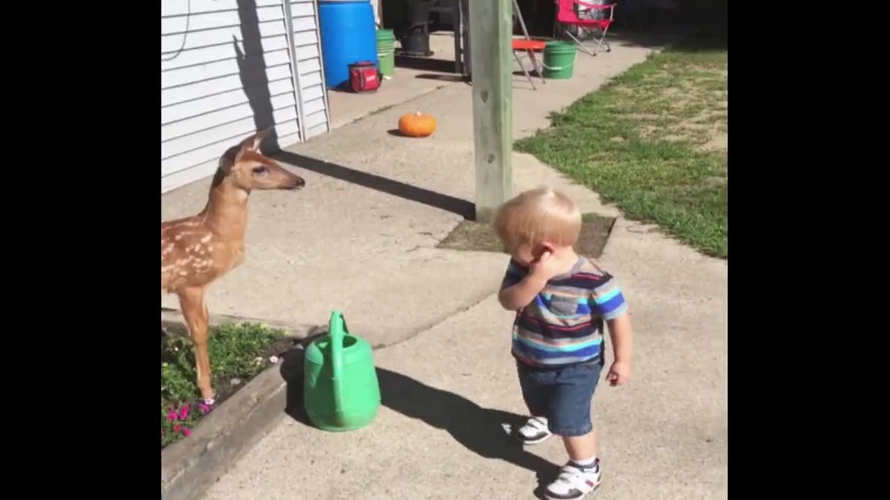 Boy Meets Bambi