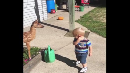 Boy Meets Bambi