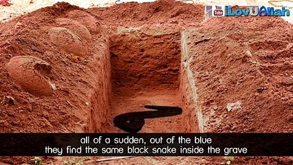 30 Snakes In The 30 Graves