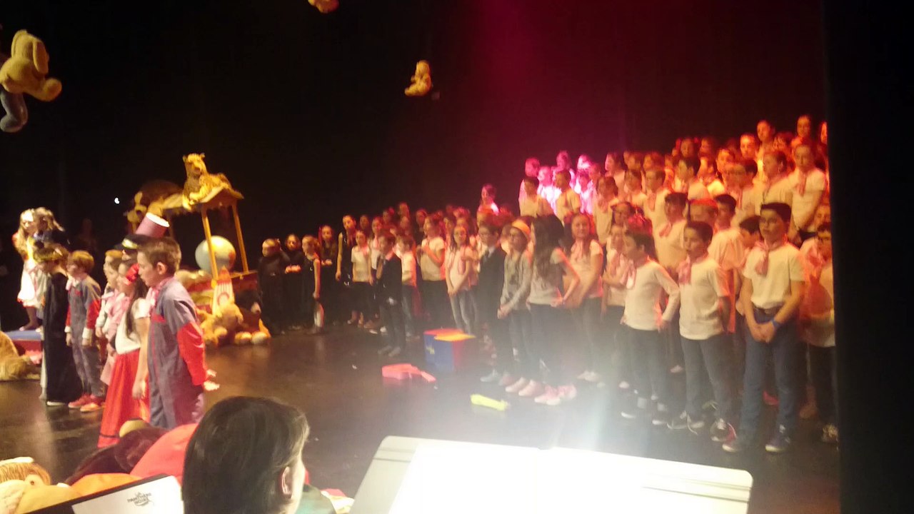 Comédie musicale Le Soldat Rose - Locminé 18 mars 2016 (2)