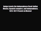 PDF Amiga travels the Independence Road: Indian Mexico Spanish conquest and independence 1325-1821