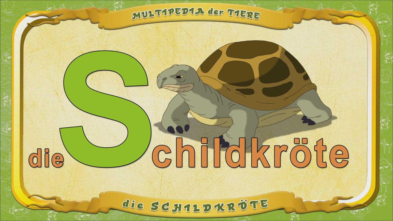 Multipedia der Tiere. Buchstabe S - die Schildkröte