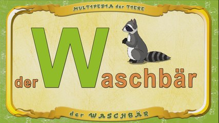 Lerne das Tier W: Der Waschbär 🦝 – Animiertes Tieralphabet für Kinder