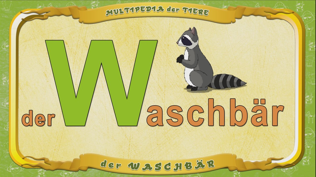 Multipedia der Tiere. Buchstabe W - der Waschbär