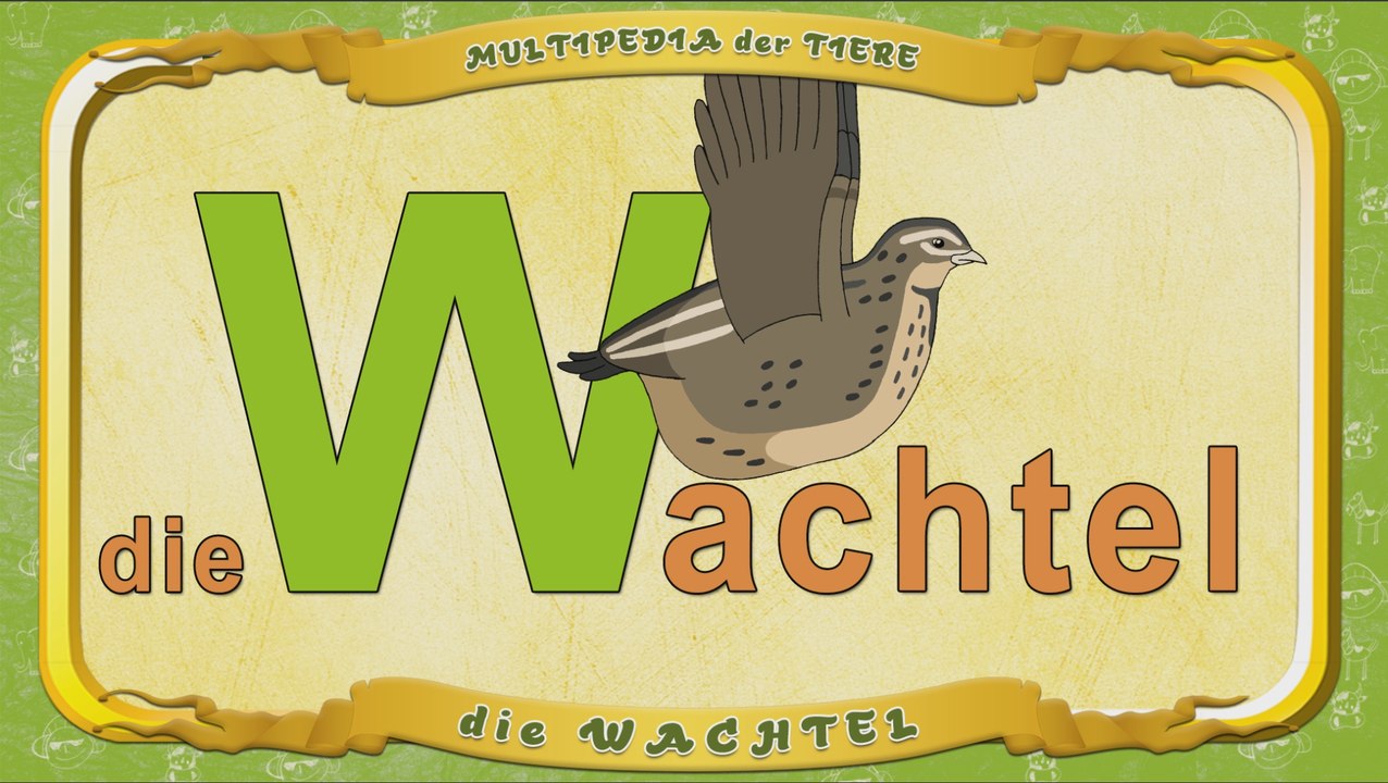 Multipedia der Tiere. Buchstabe W - die Wachtel