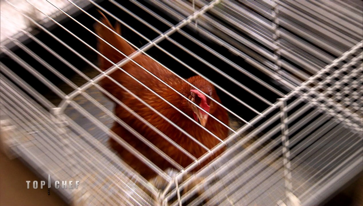 EXCLU ! "Une poule vivante, mais qu'est-ce qu'ils veulent faire avec une poule ??", Top Chef, la guerre des restaurants, lundi à 20:55 sur M6