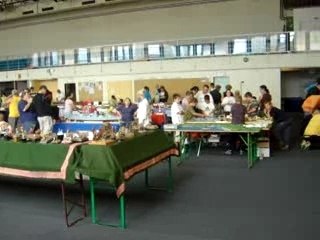 expo modelisme juin 2007 à Sérémange