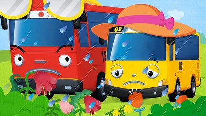 [Tayo Canciones Infantiles] #02 Lluvia lluvia vete ya