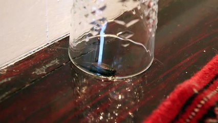 Why am I Gay? | Jamies World