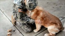 Dog's Reaction after soldier comes home;