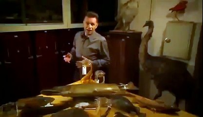 BIZARRE NATURE Strange Weird Events 60