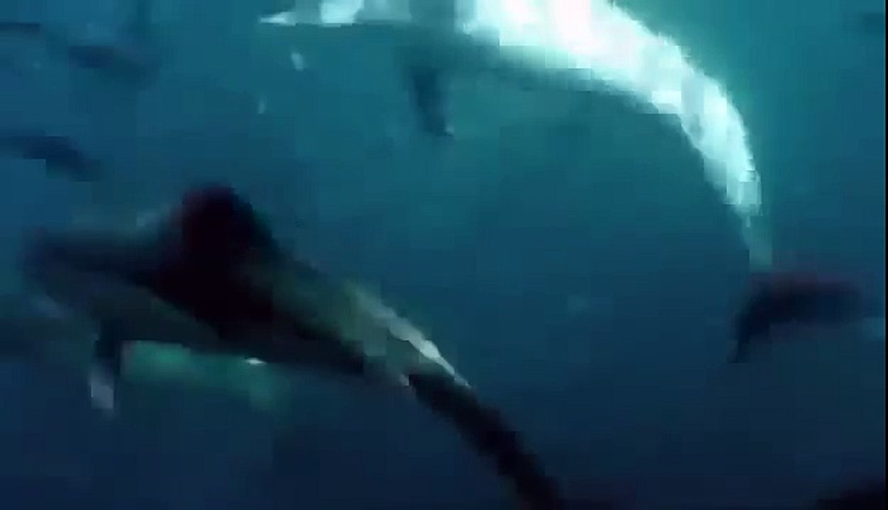BIZARRE NATURE Strange Weird Events 69