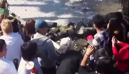 BIZARRE NATURE Strange Weird Events 73