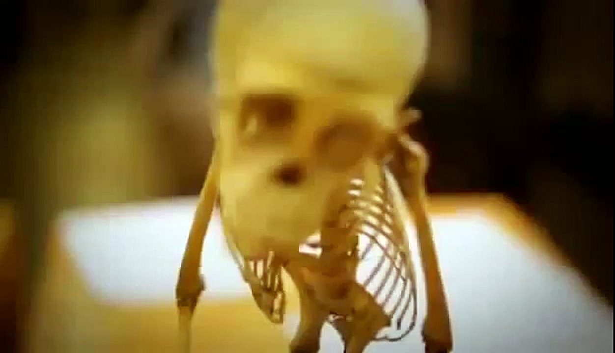 BIZARRE NATURE Strange Weird Events 78