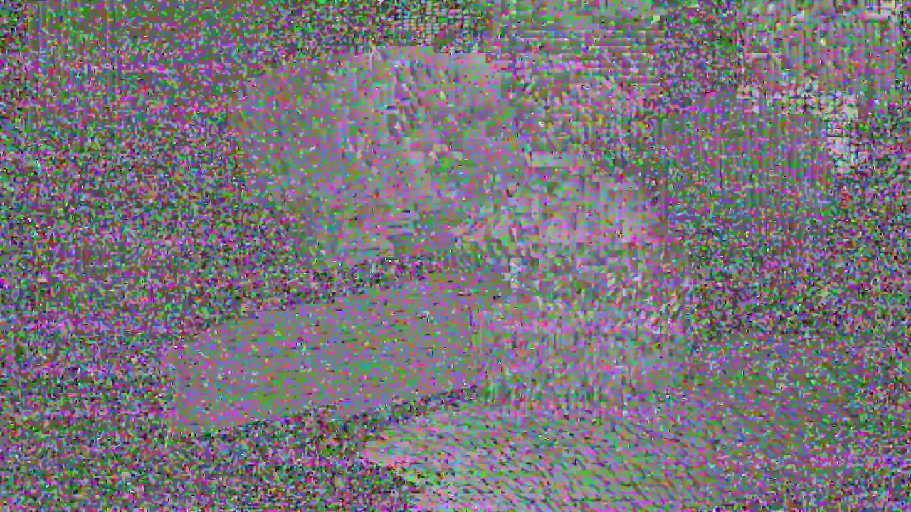 Poodles Are Awesome  Compilation