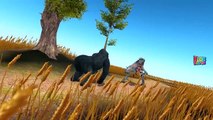 Dinosaurs 3D Animated Short Movie Dinosaurs Cartoons For Children