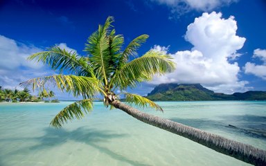 【Healing Cafe】【Sleep BGM】Sound of the wave a lot of for one hour~ Alpha wave of healing to be able to be unexploited in  （1時間たっぷり波の音~究極に眠れる癒しのα波）