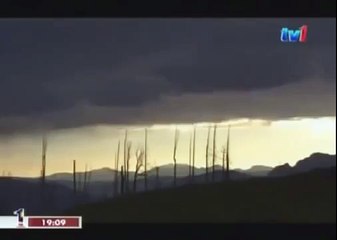 BLACK WOLF Hybrid vs Wolves of Yellowstone 77