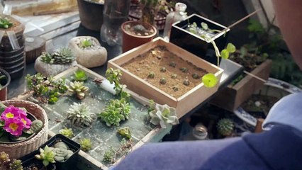 PlantSitter - The World's Smartest Plant Monitoring System