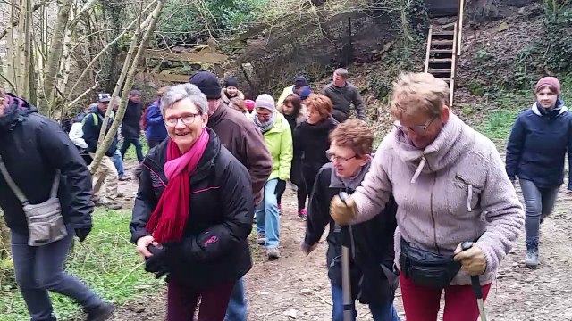 La fête des jonquilles : Le Tourneur Calvados. Dimanche 20 mars 2016
