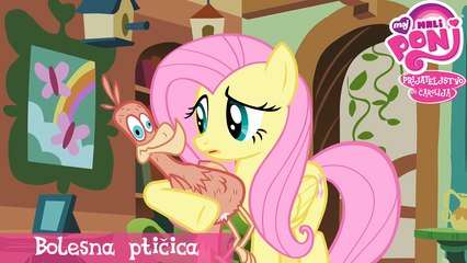 Moj Mali Poni | S01E22 - Bolesna ptičica [SRB, Minimax]