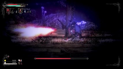 Salt and Sanctuary (Pirate Boss)