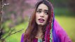 Za Pagal Yum - Pashto New HD Movie 2016 Teaser