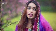 Za Pagal Yum - Pashto New HD Movie 2016 Teaser