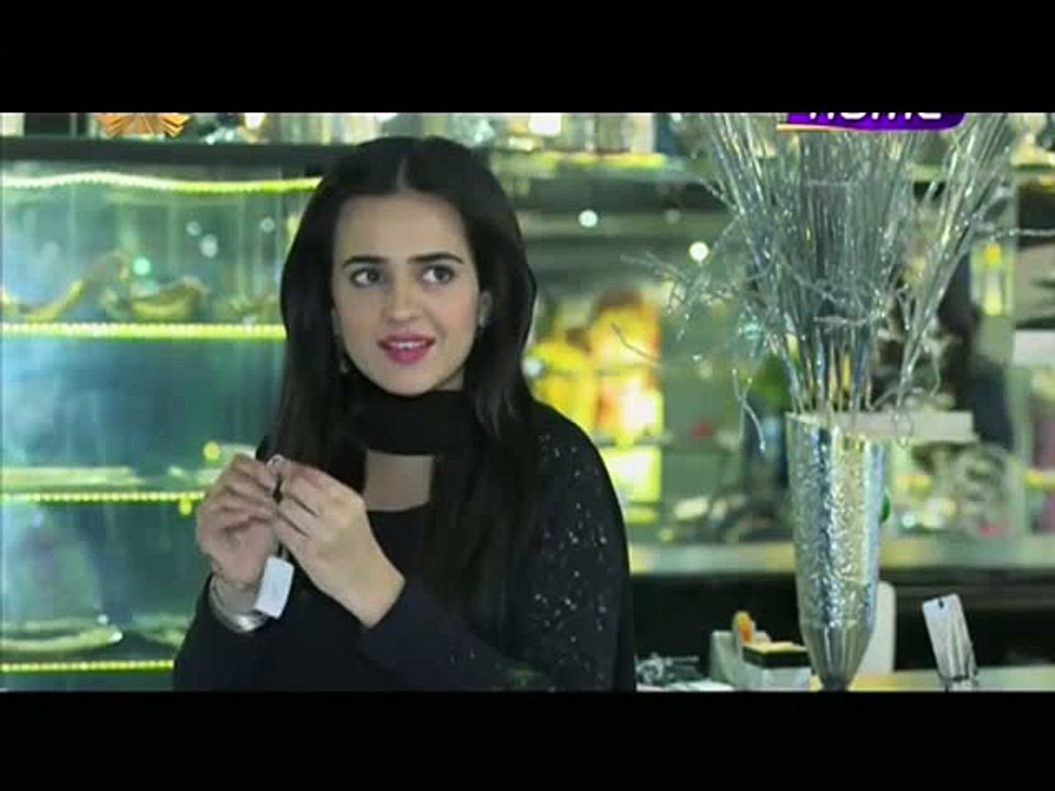 Hasratein Episode 23 on Ptv Home