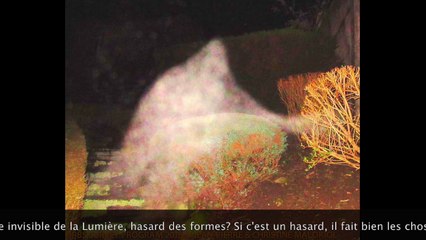 DANS LE SECRET DES SPECTRES ZOOMORPHES - BVI