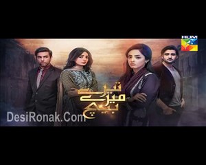 Tere Mere Beech Episode 17 Hum TV Drama 20 Mar 2016 P2