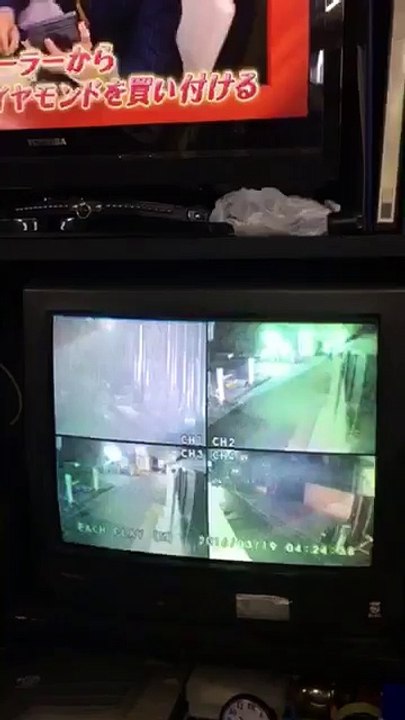 ダンプ