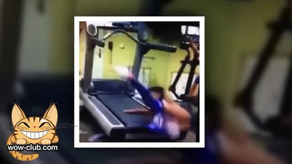 The Best Jokes and Funny Animals Compilation WOW-club #0179