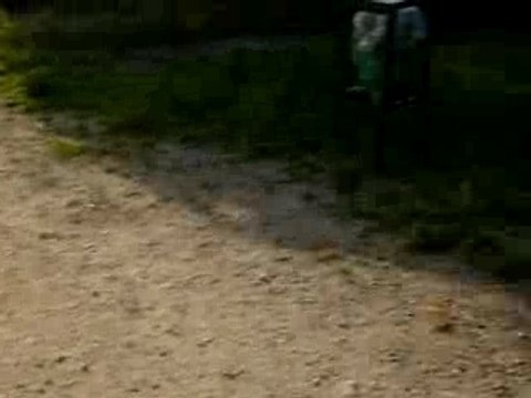 Une après-midi a Vincennes