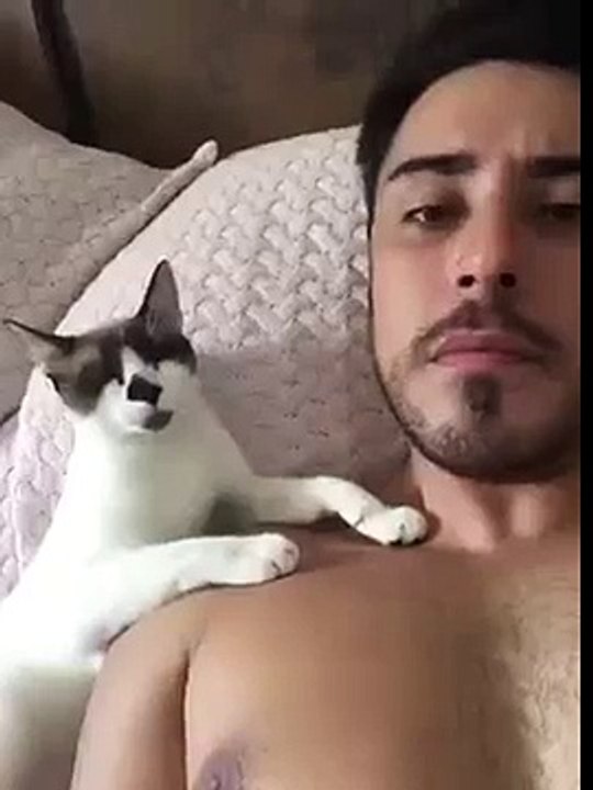 Dancing Cats Compilation