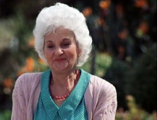 Hardcastle And Mccormick 3x22