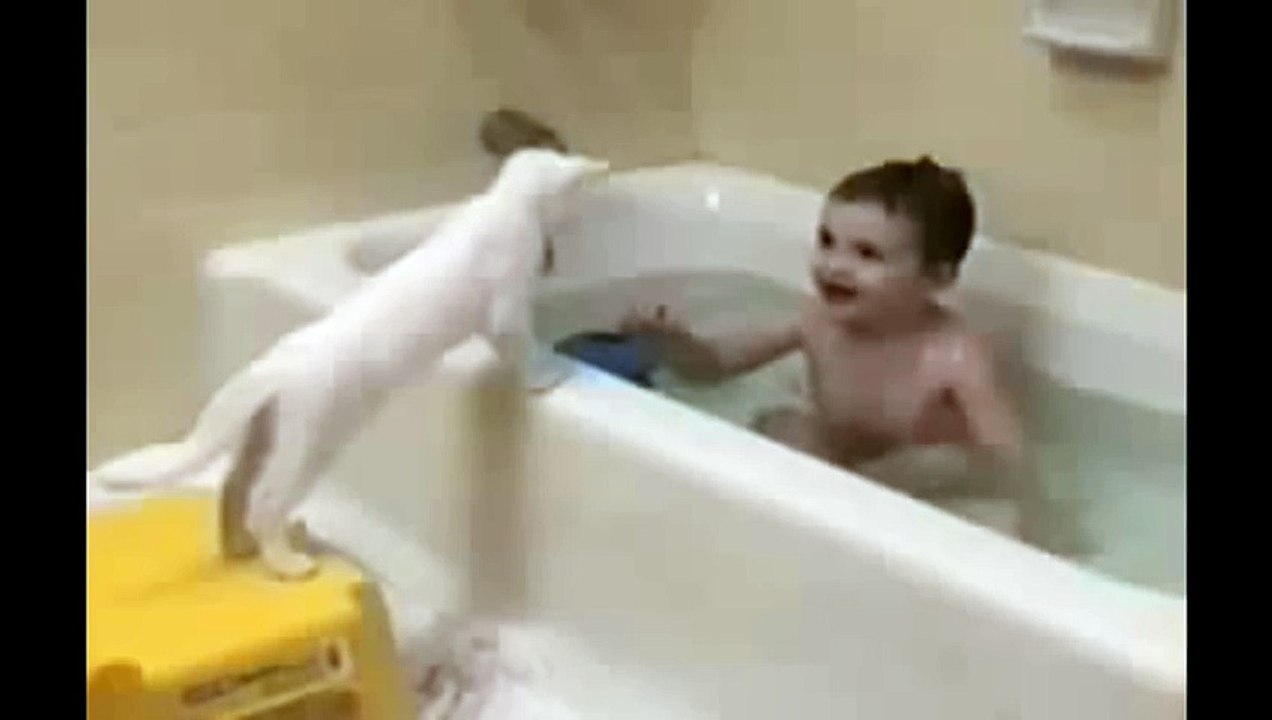 Cat just don't want to bathe - Funny cat bathing