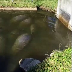 VERY  FUNY & AMAZING  VIDEOS