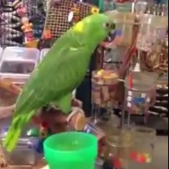 VERY  FUNY & AMAZING  VIDEOS