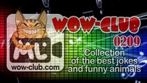 The Best Jokes and Funny Animals. Compilation WOW-club #0106