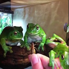 VERY  FUNY & AMAZING  VIDEOS