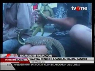 Ngabuburit Bersama Satwa Berbahaya